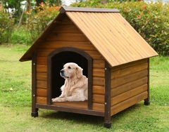 PET-002