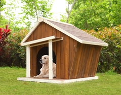 PET-004