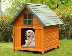 PET-005
