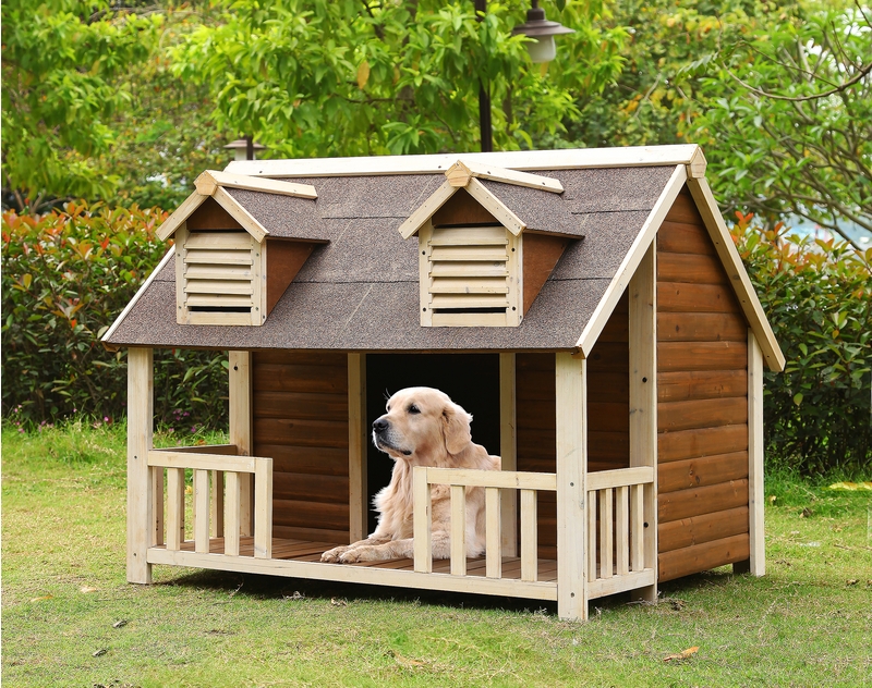 PET-001
