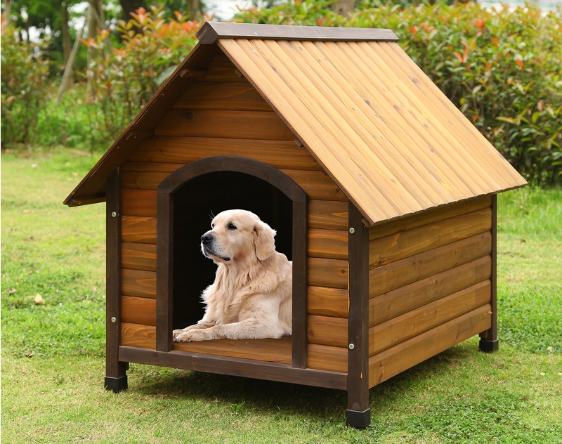 PET-002